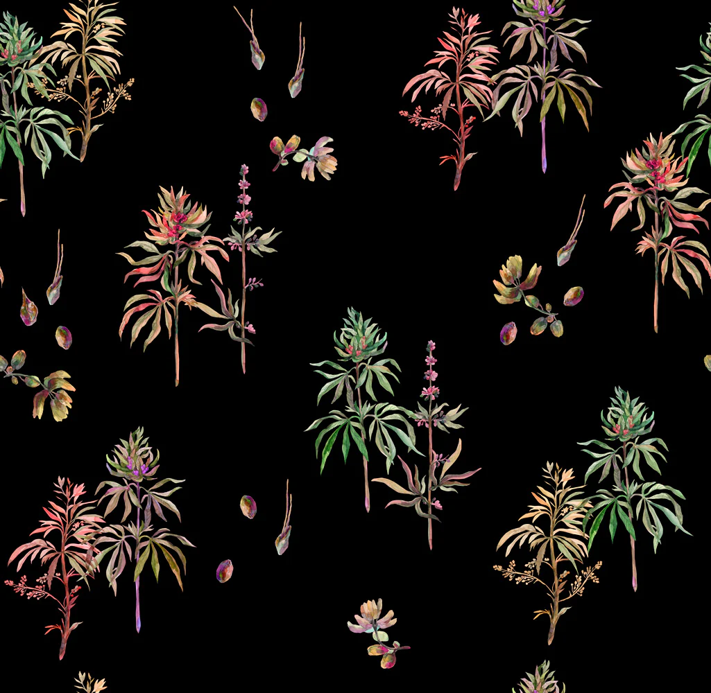 Artistry for Your Walls